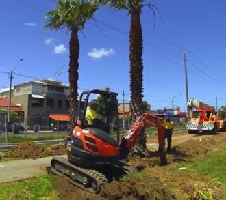 Palm Tree Removal-South Florida Tri-County Tree Trimming and Stump Grinding Services-We Offer Tree Trimming Services, Tree Removal, Tree Pruning, Tree Cutting, Residential and Commercial Tree Trimming Services, Storm Damage, Emergency Tree Removal, Land Clearing, Tree Companies, Tree Care Service, Stump Grinding, and we're the Best Tree Trimming Company Near You Guaranteed!
