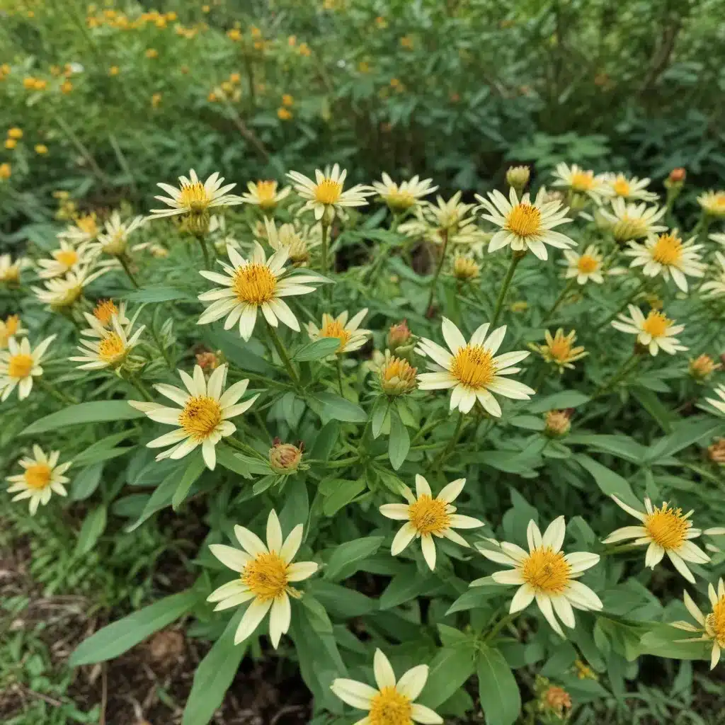 Celebrating Local Flora: Highlighting Native and Regionally Appropriate Plant Species