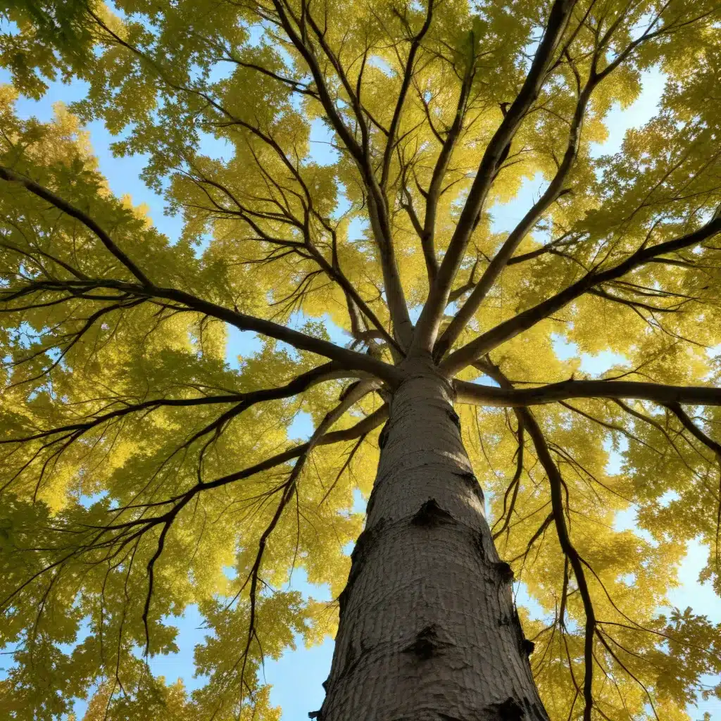 Cultivating Resilience: Seasonal Strategies for Thriving Trees