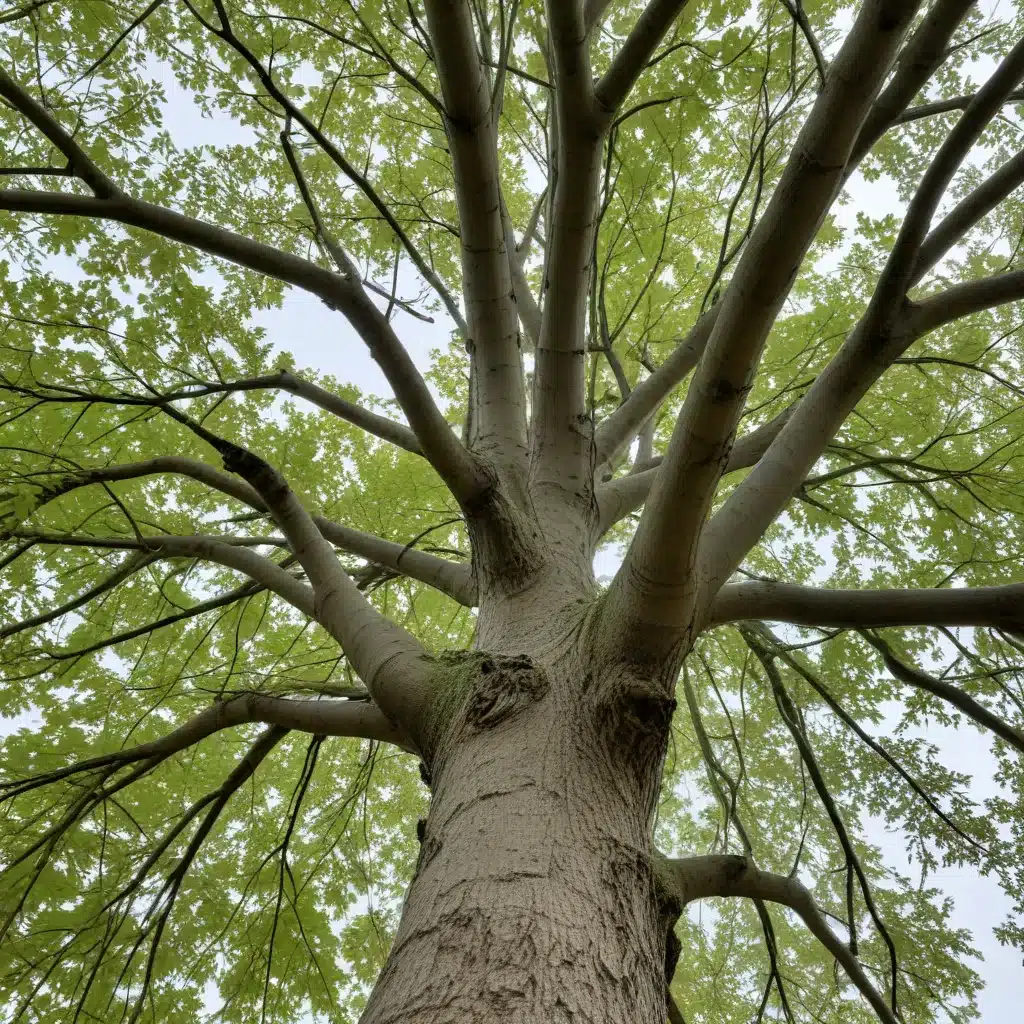 Cultivating Resilience: Seasonal Strategies for Tree Health