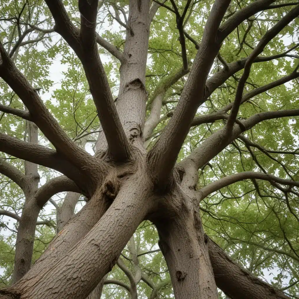 Dealing with Storm-Damaged Trees: When to Remove and When to Repair