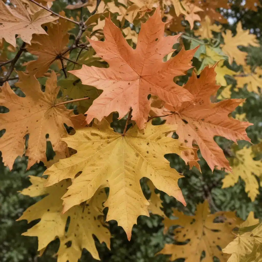 Discovering the Distinctive Characteristics of the Delightful Northern Red Oak