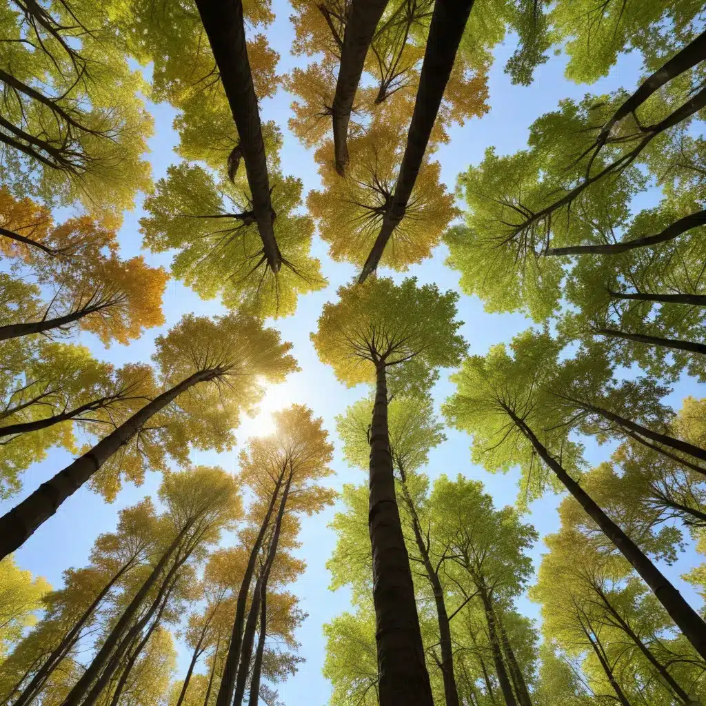 Embracing Diversity in Tree Species: Cultivating a Resilient Urban Forest