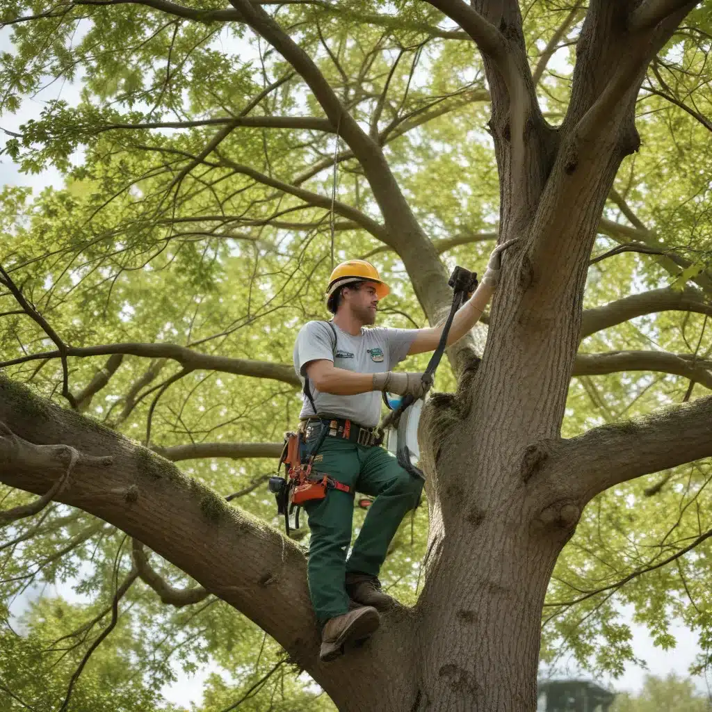 Embracing the Challenges: Innovative Approaches to Seasonal Tree Care and Tending for Continued Vigor