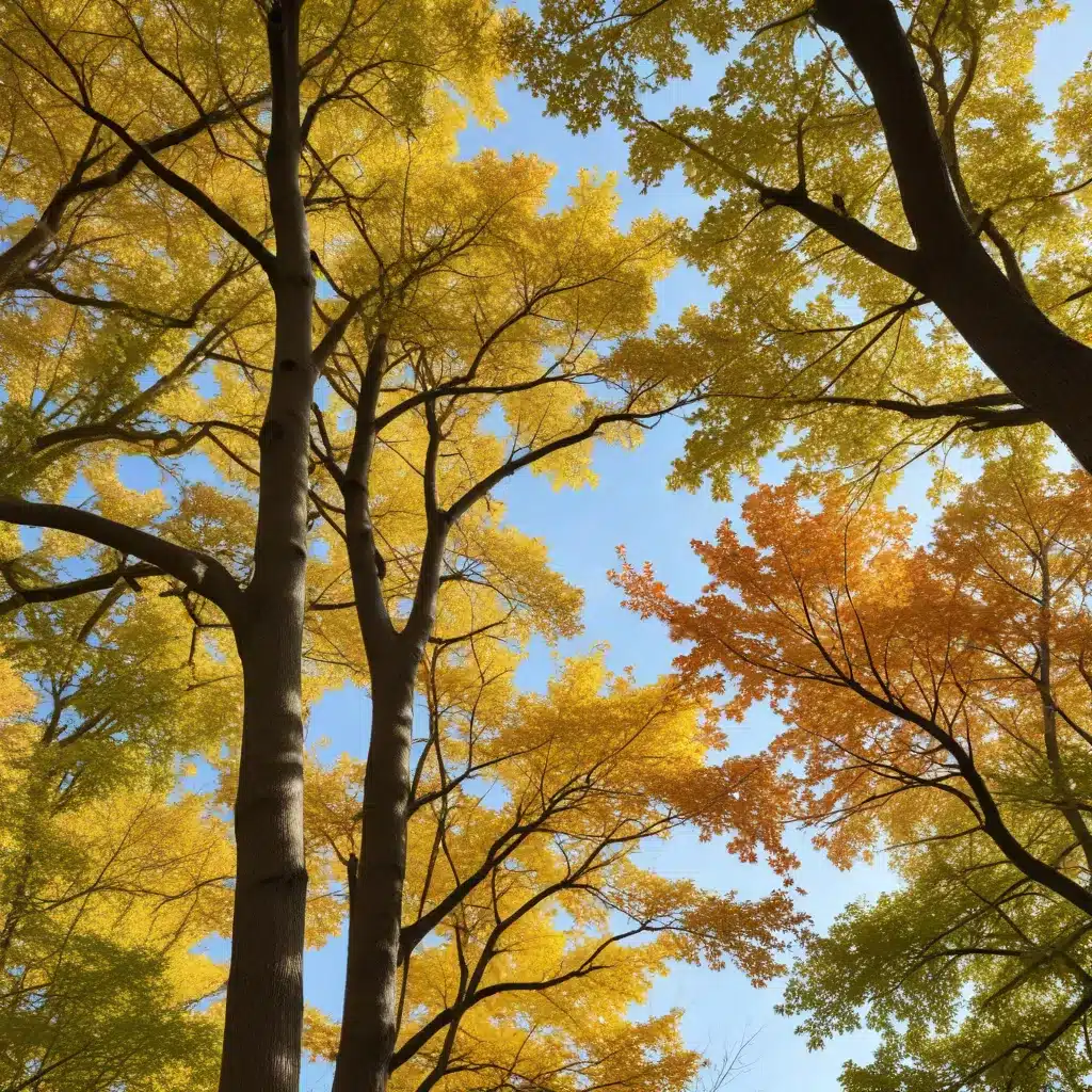 Embracing the Rhythm of the Seasons: Strategies for Resilient, Thriving Tree Habitats