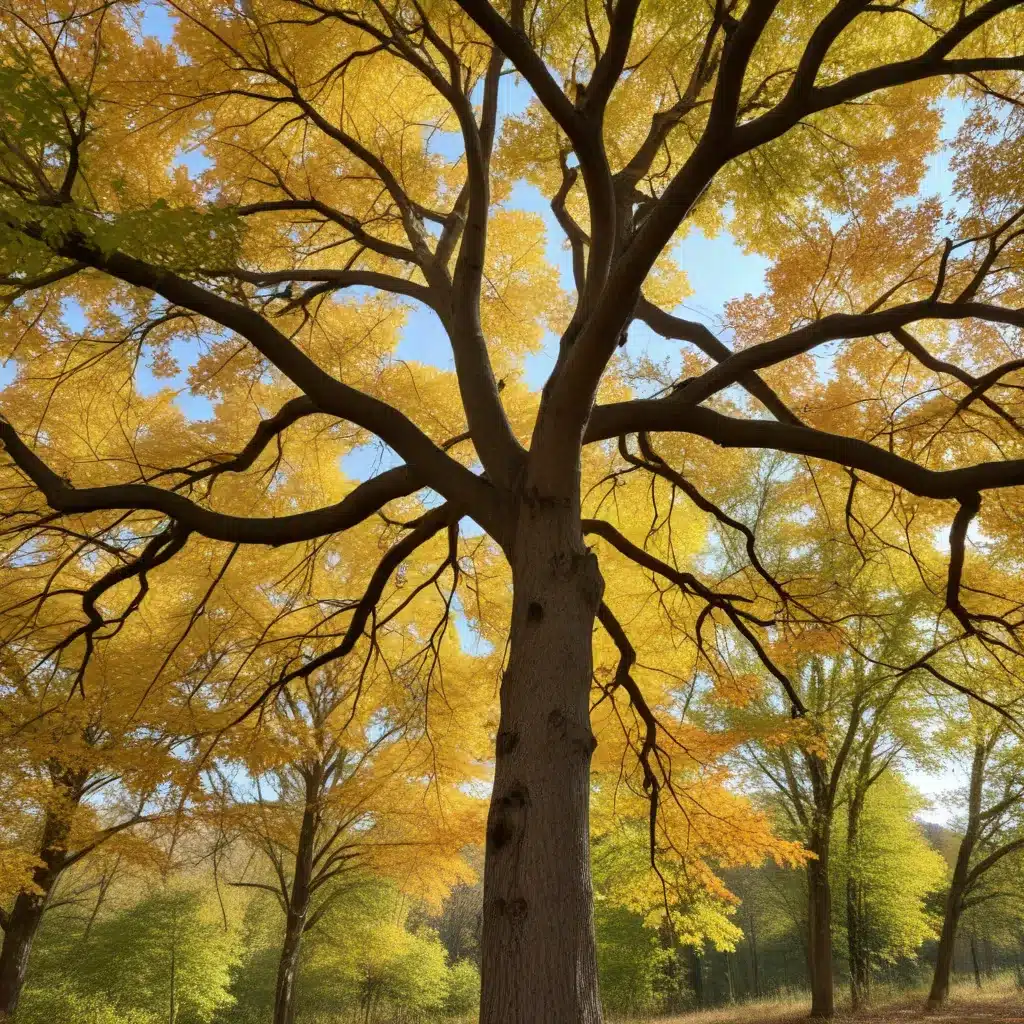 Embracing the Rhythm of the Seasons: Strategies for Resilient, Thriving Trees