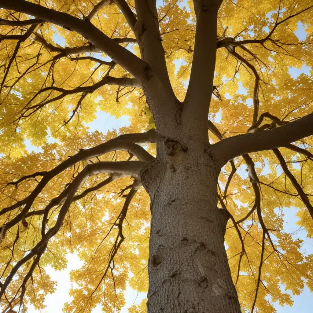 Embracing the Rhythm of the Seasons: Strategies for Resilient Tree Health