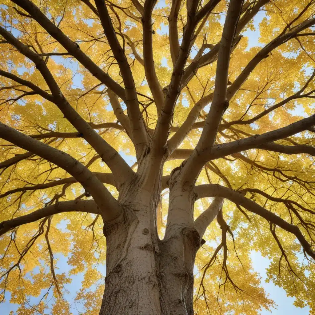 Embracing the Seasons: A Guide to Effective, Holistic Tree Tending