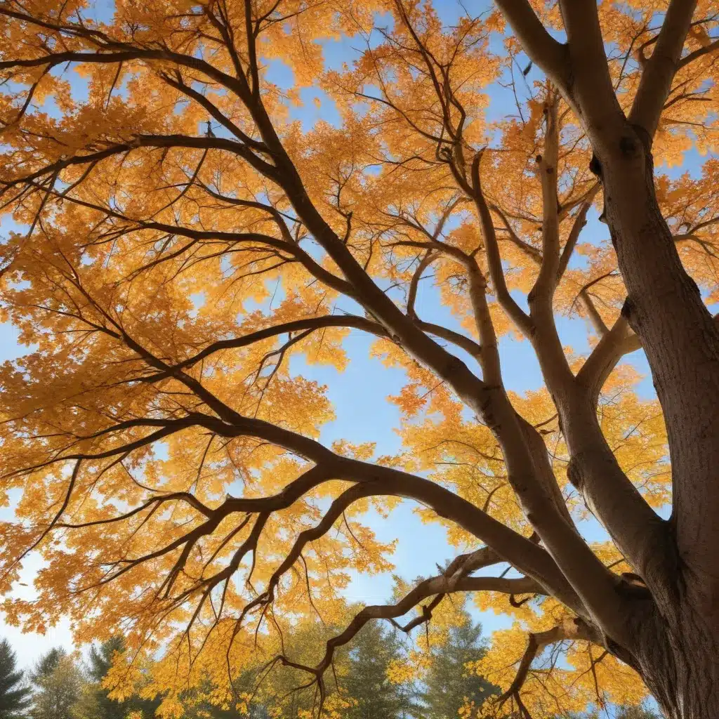 Embracing the Seasons: A Guide to Effective, Holistic Year-Round Tree Tending