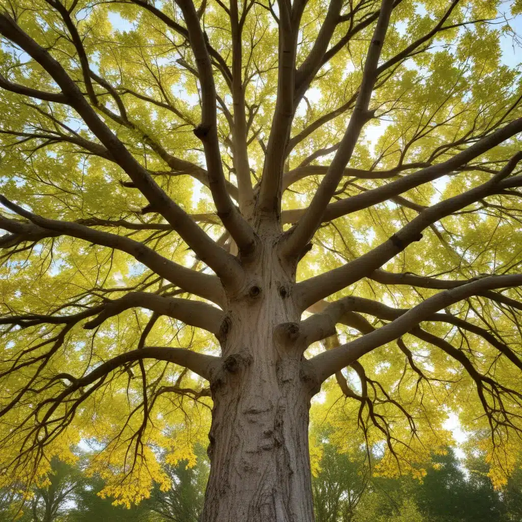 Embracing the Seasons: A Guide to Effective, Holistic Year-Round Tree Tending and Maintenance