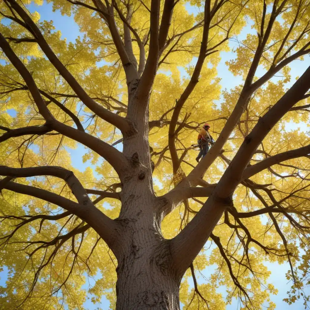 Embracing the Seasons: A Guide to Effective, Holistic Year-Round Tree Tending and Maintenance for Thriving Trees