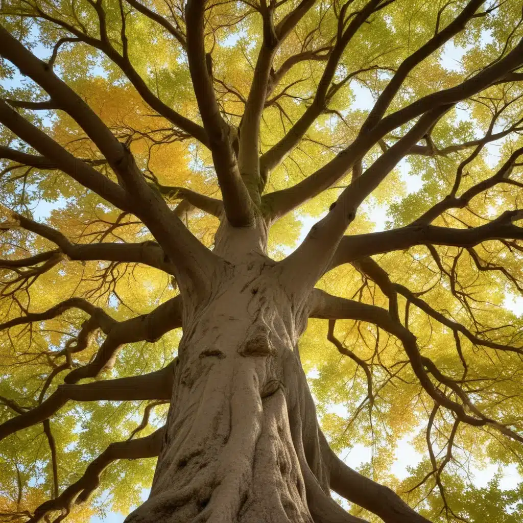 Embracing the Seasons: A Holistic View of Tree Wellness
