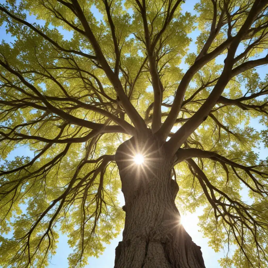 Embracing the Seasons: A Multifaceted Approach to Tree Wellness