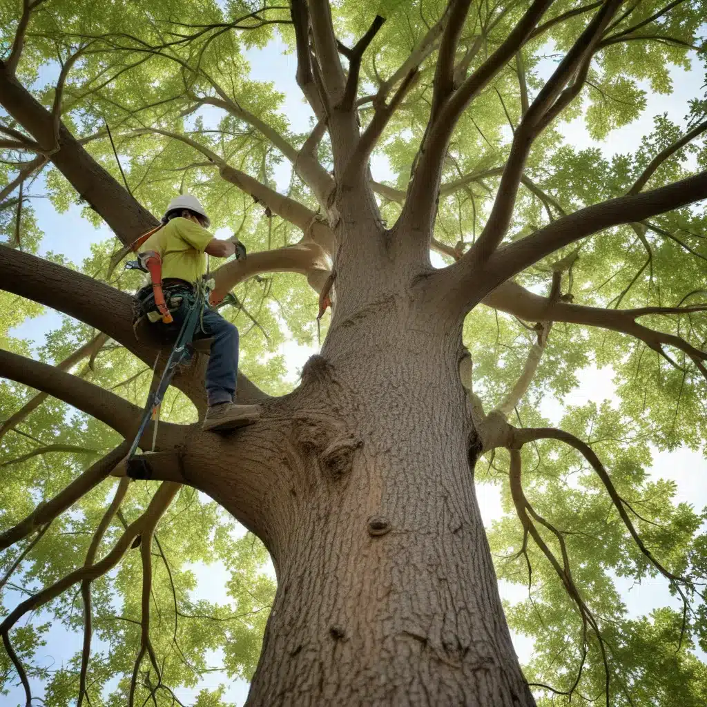 Ensuring Ethical and Equitable Tree Removal Practices: Prioritizing Social Responsibility
