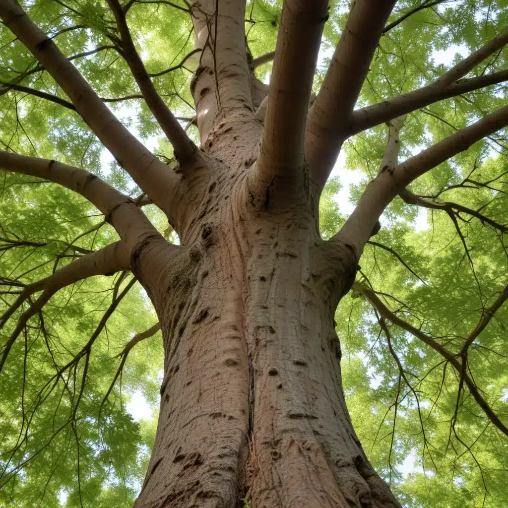 Harnessing Nature’s Rhythms: Tailored Approaches for Optimal Tree Health and Growth