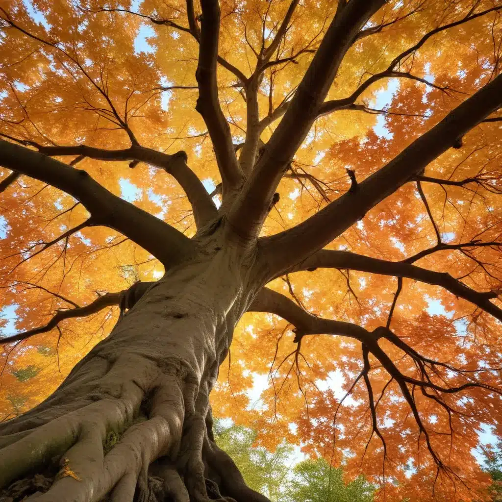 Marveling at the Magnificent Maple: Discovering the Delights of This Iconic Tree