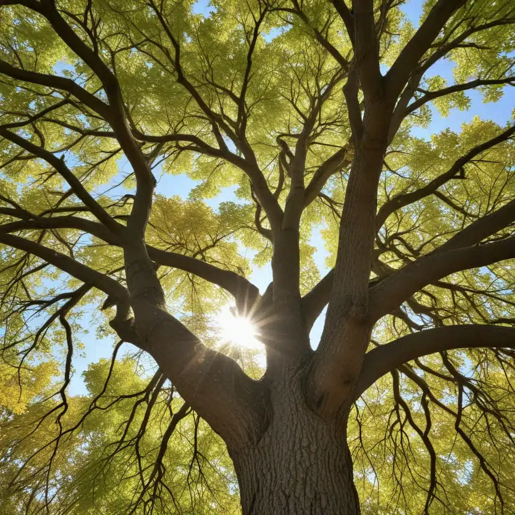 Maximizing Tree Health: Tailoring Care to the Seasons