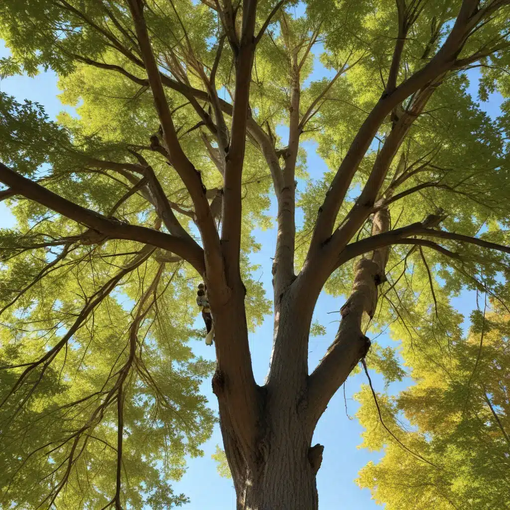 Maximizing the Benefits of Comprehensive, Tailored Seasonal Tree Care Practices