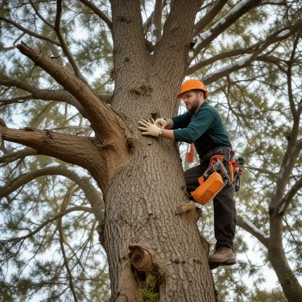 Maximizing the Benefits of Holistic, Tailored Seasonal Tree Care Practices for Year-Round Tree Health and Thriving
