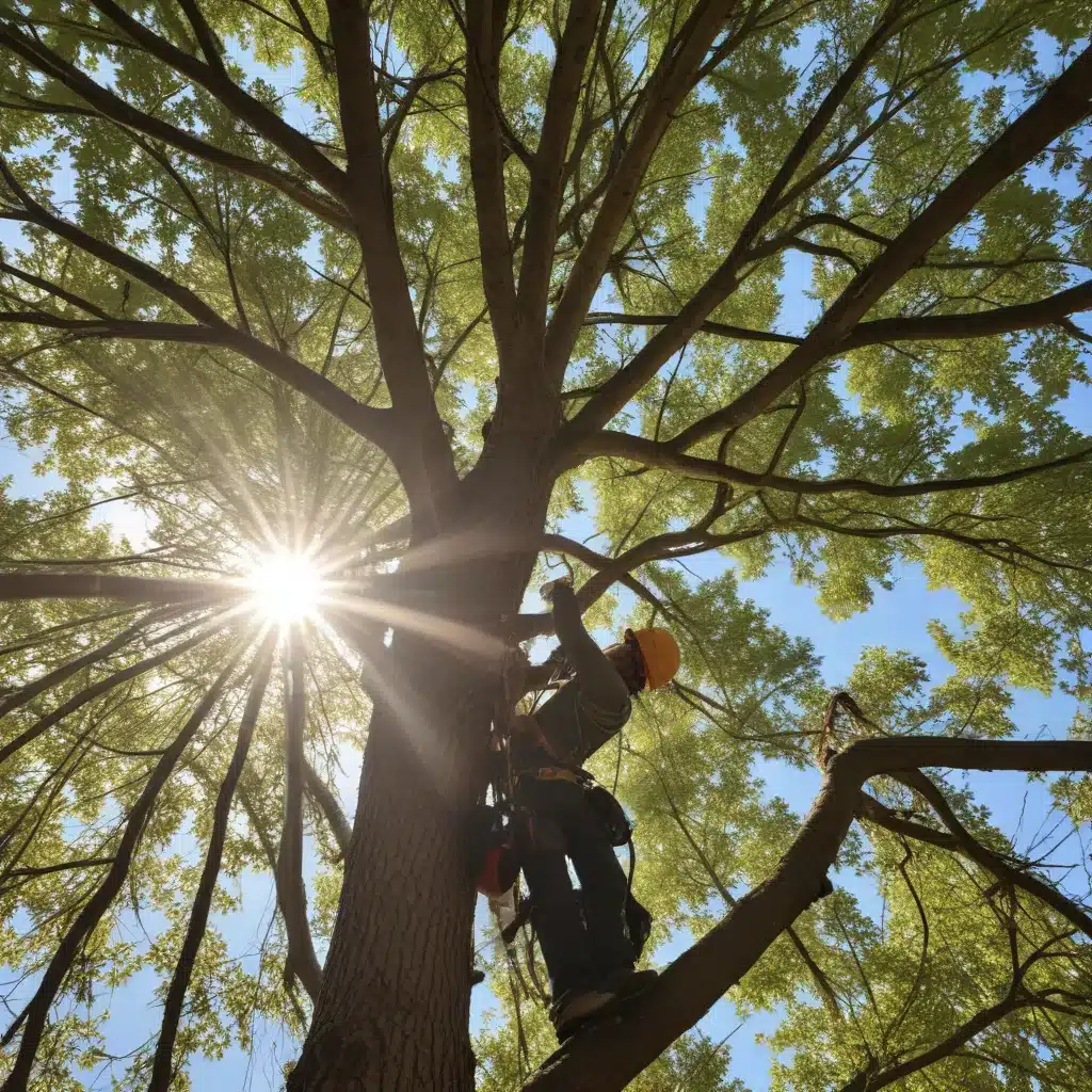 Maximizing the Benefits of Tailored, Holistic Tree Care Practices