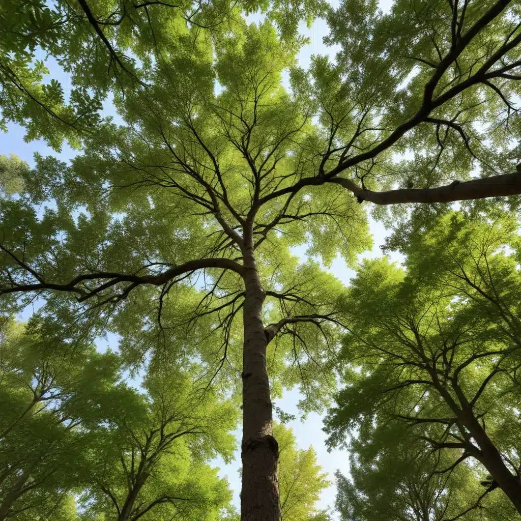 Maximizing the Potential of Trees Through Tailored, Holistic Seasonal Care Practices