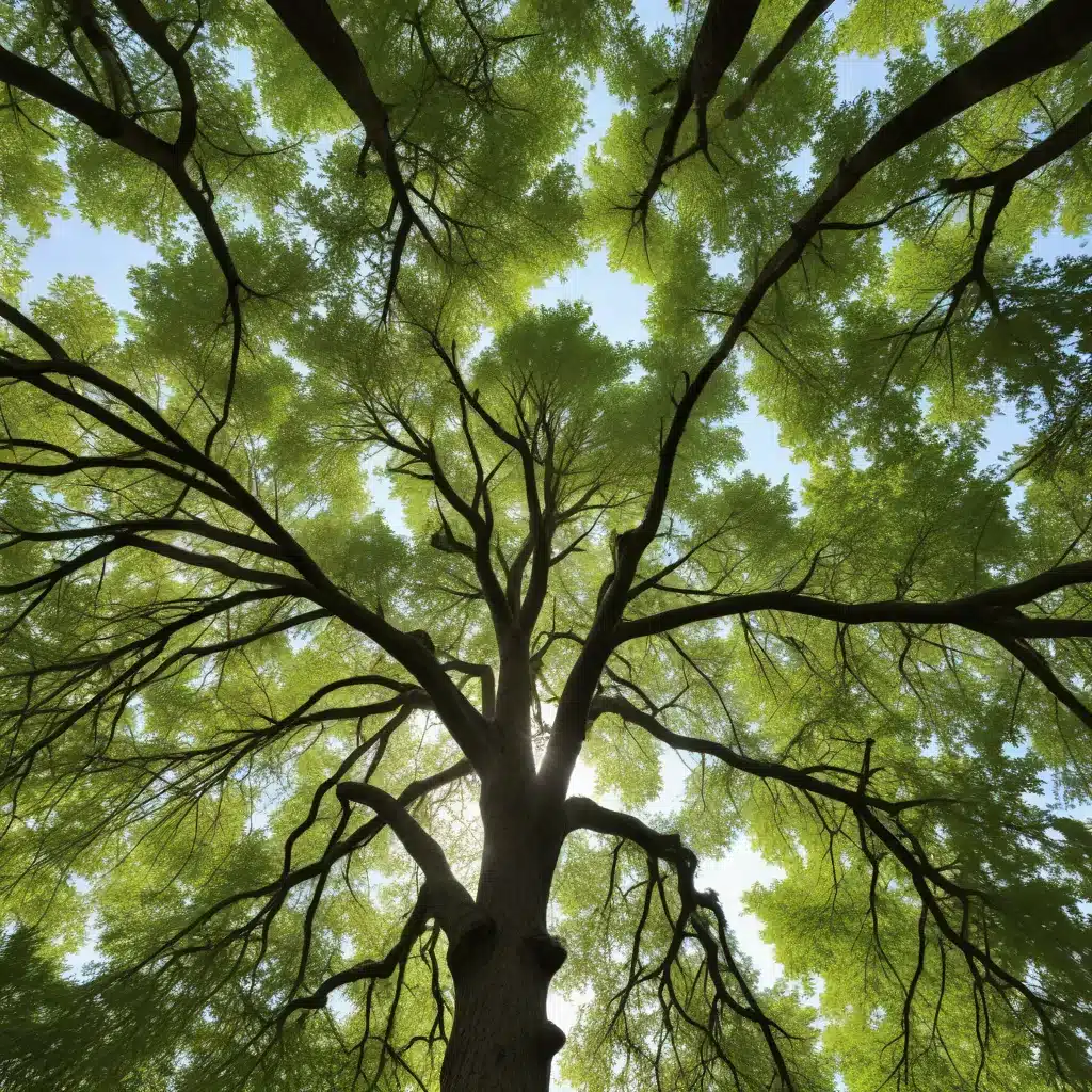 Maximizing the Potential of Trees Through Tailored, Holistic Seasonal Care Practices for Sustainability