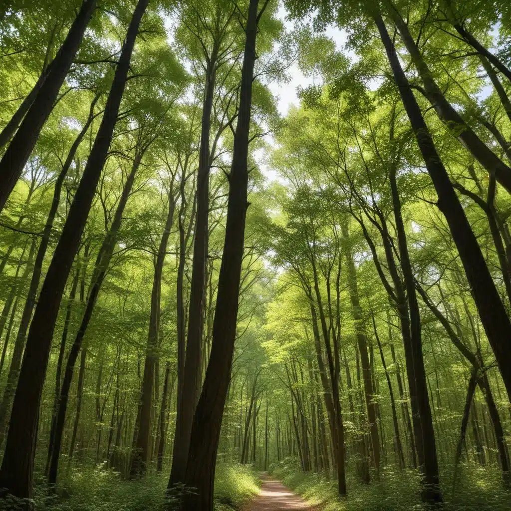 N.C. Regulators Approve Duke Energy Plan Impacting Urban Forests