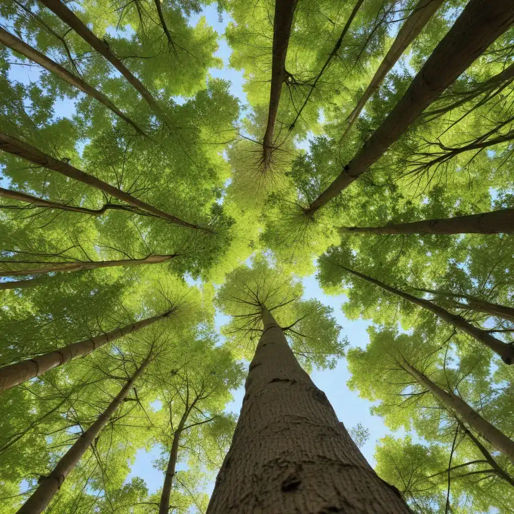 Navigating the Rhythms of Nature: A Comprehensive Approach to Tree Tending