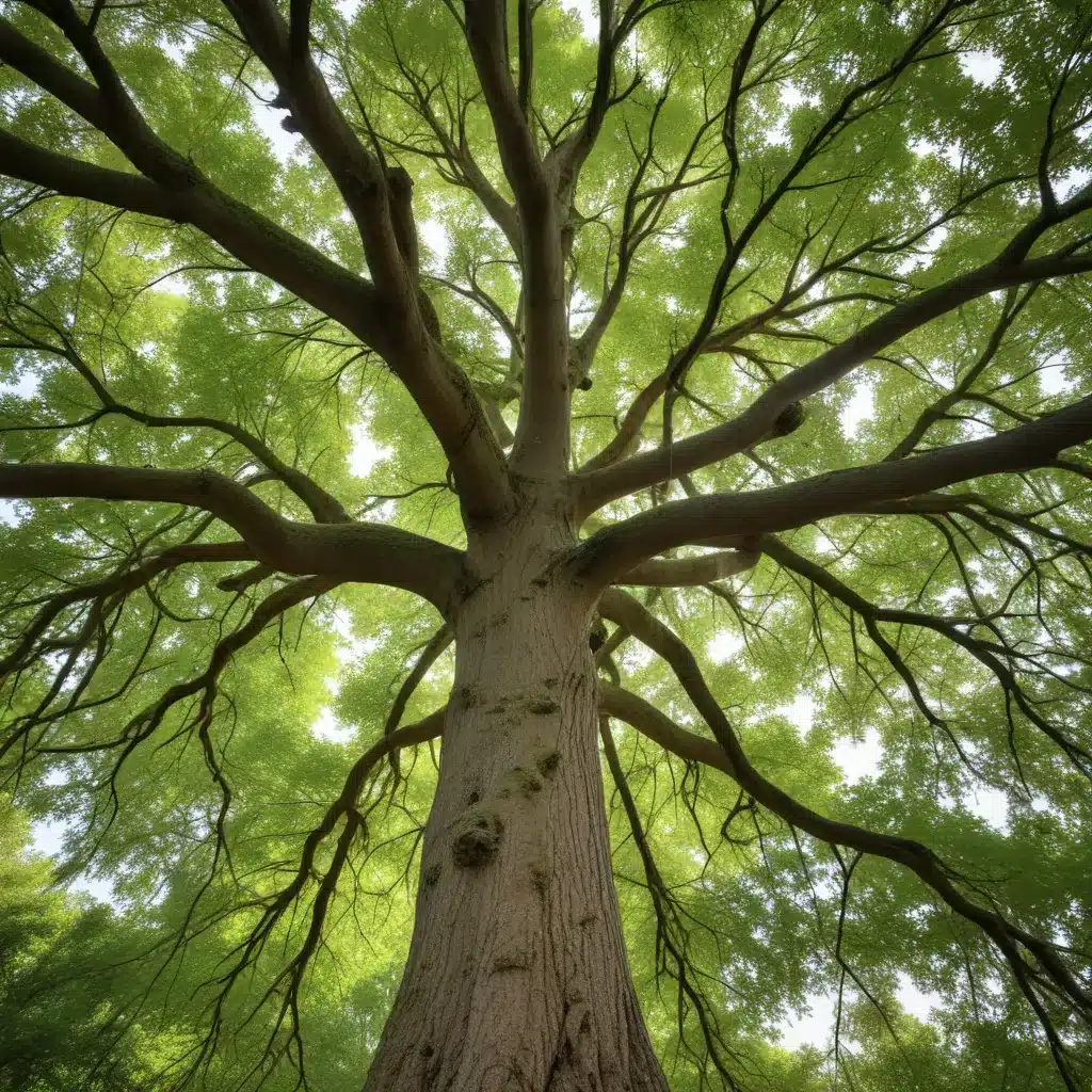 Navigating the Rhythms of Nature: A Guide to Comprehensive Tree Wellness