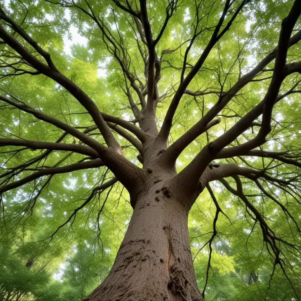 Navigating the Rhythms of Nature: A Guide to Successful, Holistic Tree Tending