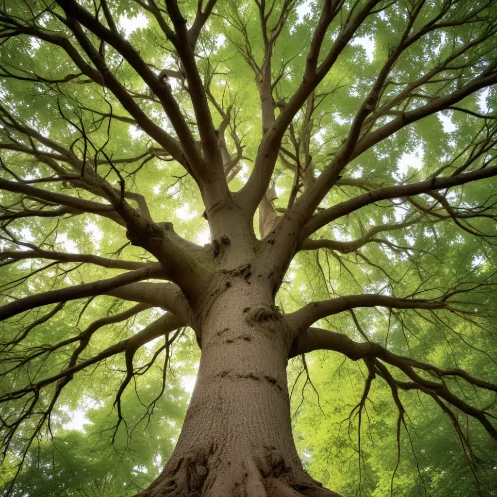 Navigating the Rhythms of Nature: A Guide to Successful, Holistic Tree Tending and Maintenance for Thriving Landscapes