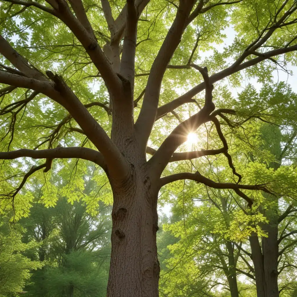 Navigating the Rhythms of Nature: A Guide to Successful Tree Tending