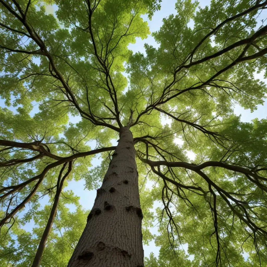 Navigating the Rhythms of Nature: A Guide to Tailored Tree Maintenance