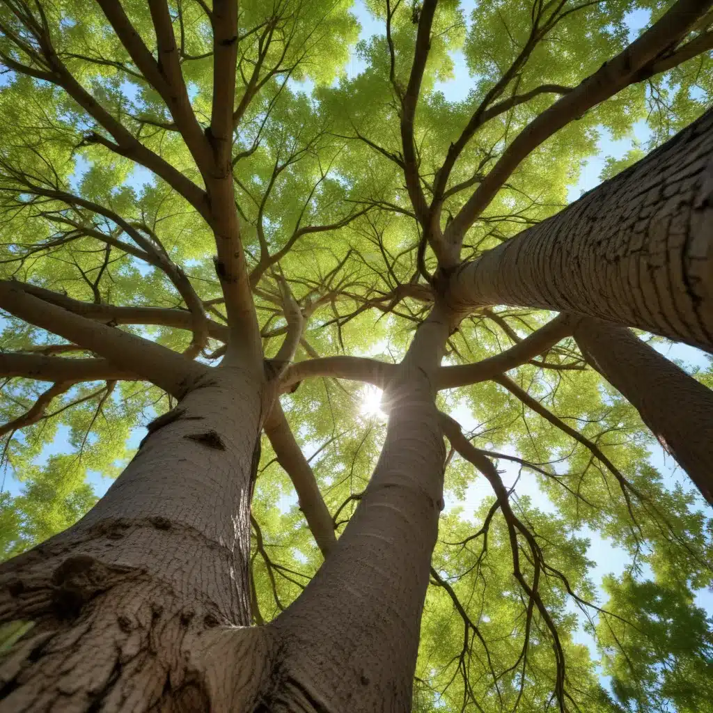 Navigating the Rhythms of Nature: Tailored Solutions for Successful, Holistic Tree Maintenance