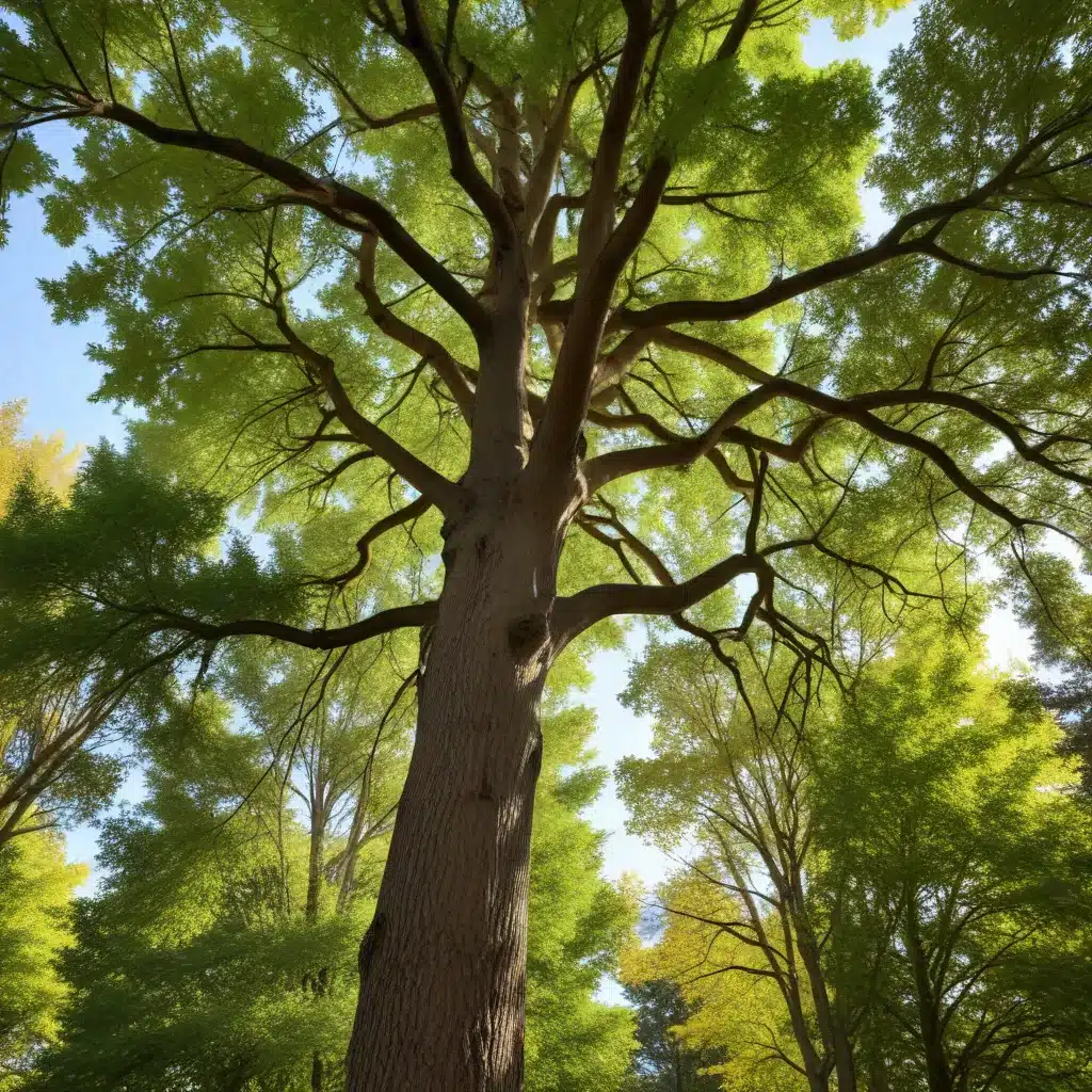 Preserving the Urban Forest: The Role of DIY Tree Care in Community Sustainability
