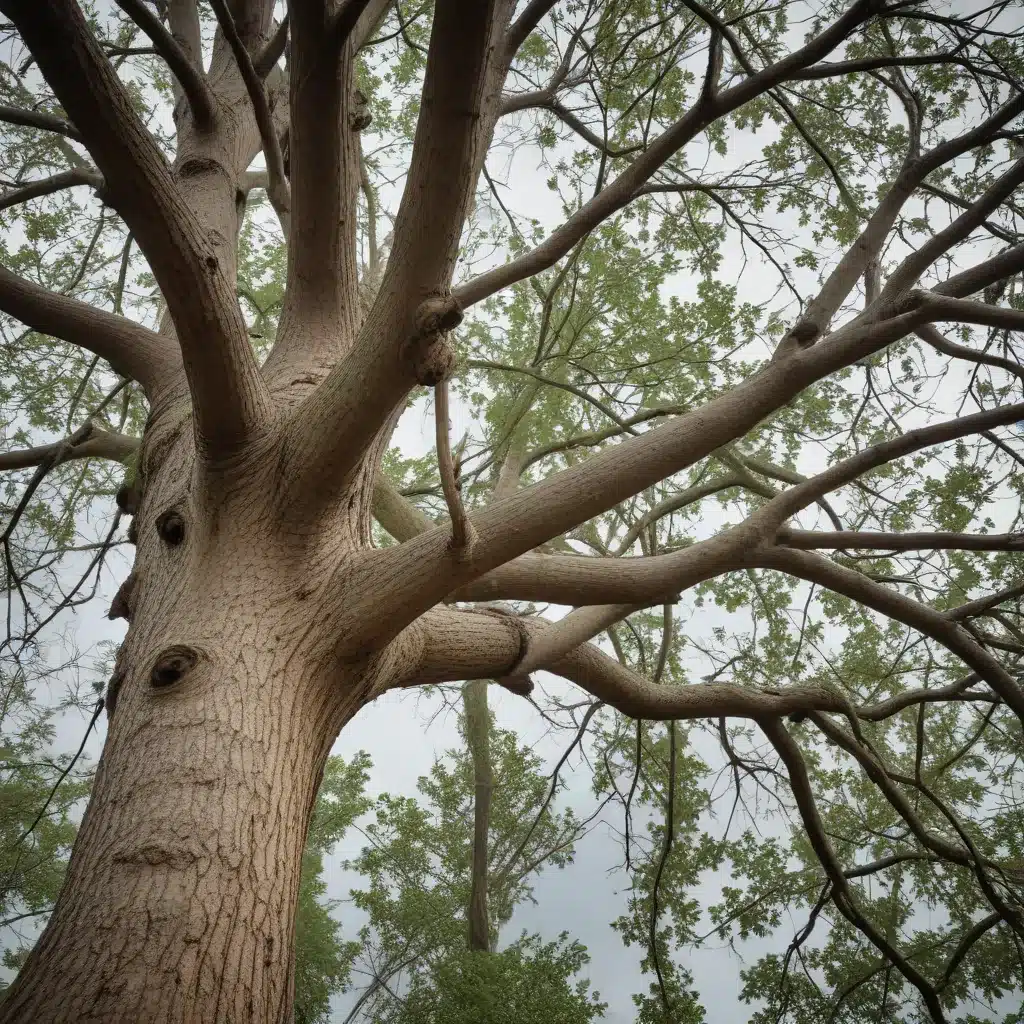 Preventing Storm Damage: The Role of Proactive Tree Removal and Maintenance