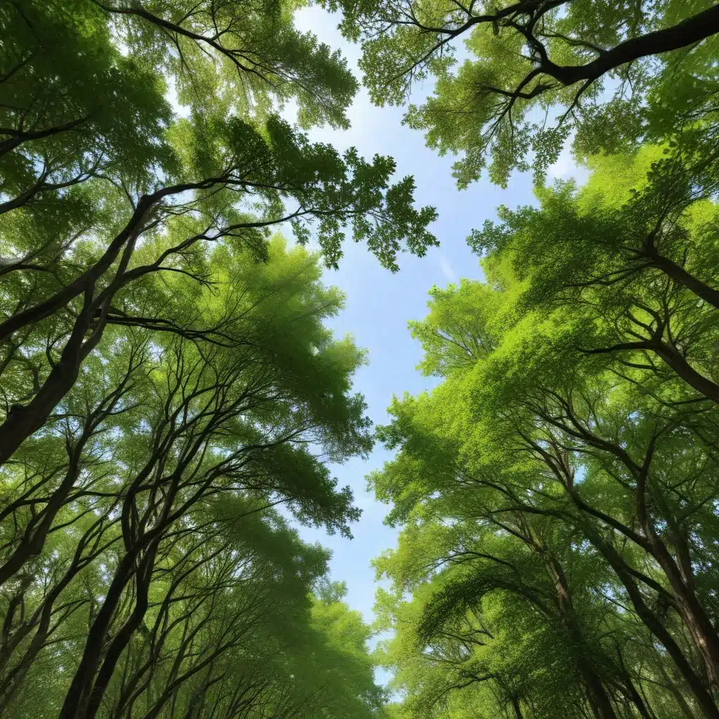 Reviving the Green Canopy After Extreme Weather Events