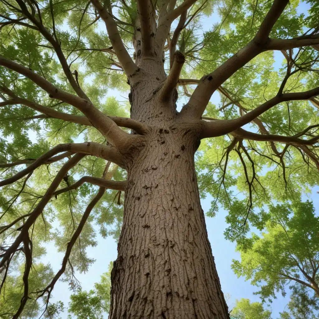 Seasonal Tree Care: Maximizing the Benefits of Nature’s Cycles for Comprehensive Tree Wellness, Longevity, and Growth