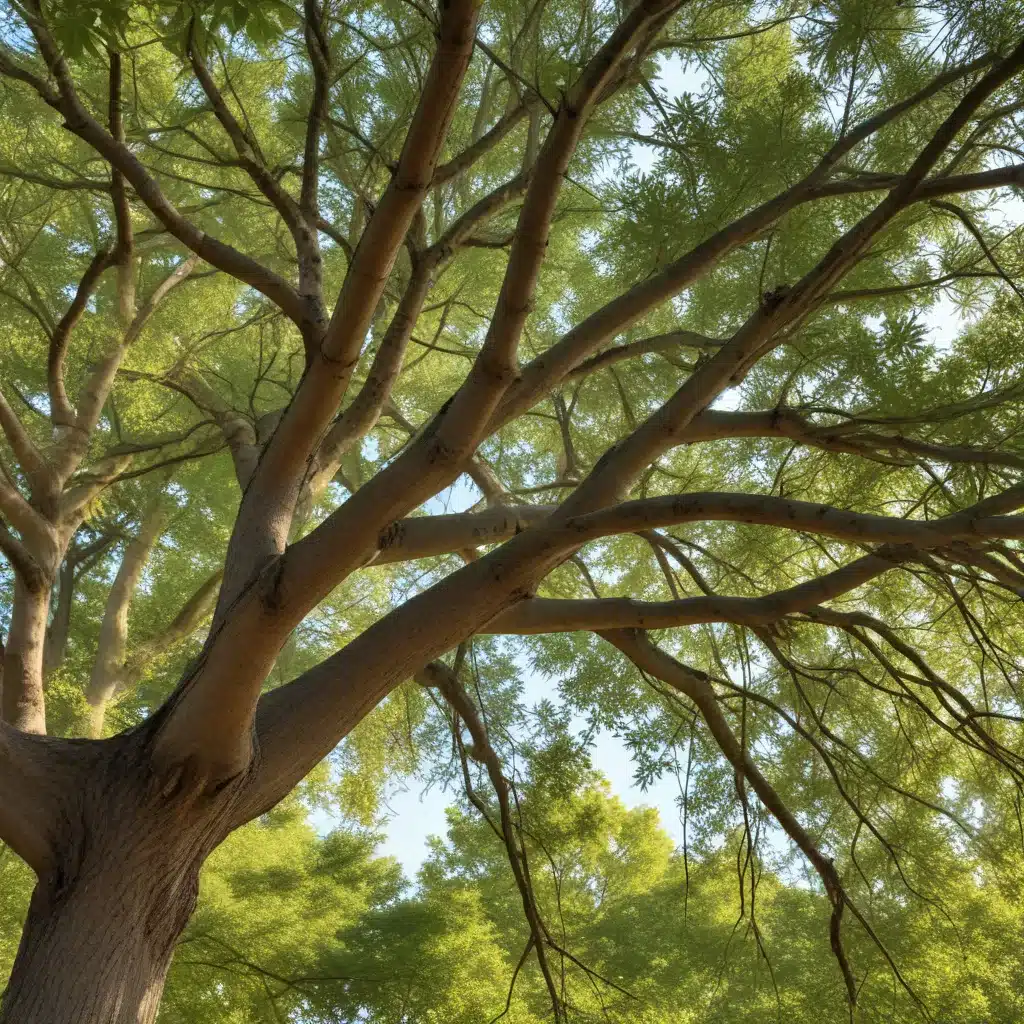 Seasonal Tree Care: Maximizing the Benefits of Nature’s Cycles for Tree Wellness