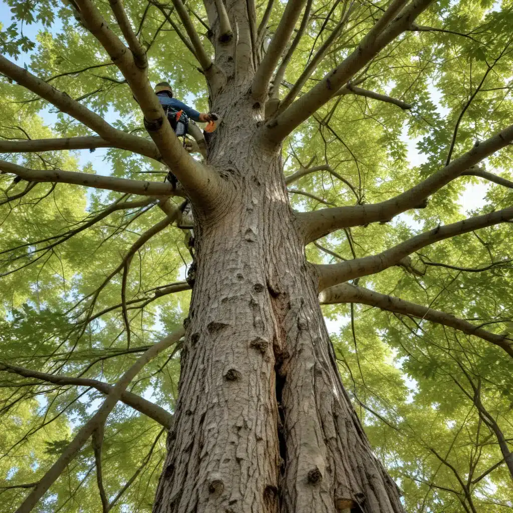 Seasonal Tree Care: Maximizing the Benefits of Nature’s Patterns for Comprehensive Tree Wellness