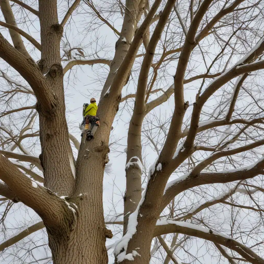 Seasonal Tree Care: Maximizing the Benefits of Nature’s Patterns for Tree Wellness