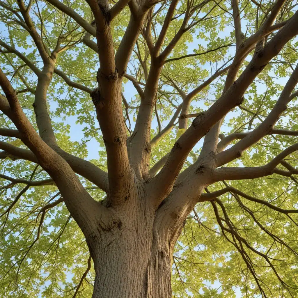 Seasonal Tree Care: Unlocking the Secrets of Nature’s Patterns for Tree Wellness