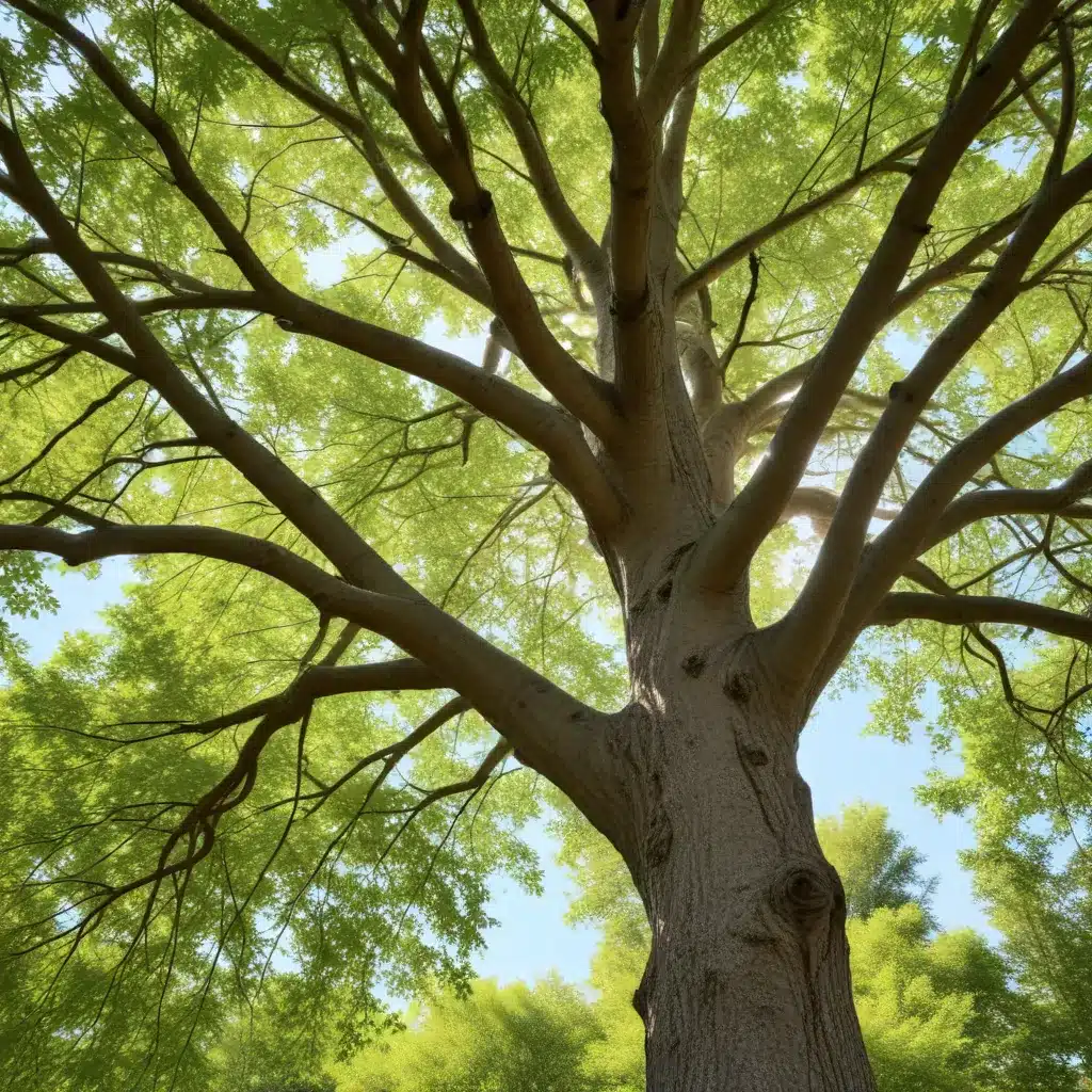 Seasonal Tree Care: Unlocking the Secrets of Nature’s Rhythms for Comprehensive Tree Wellness and Long-Term Vitality