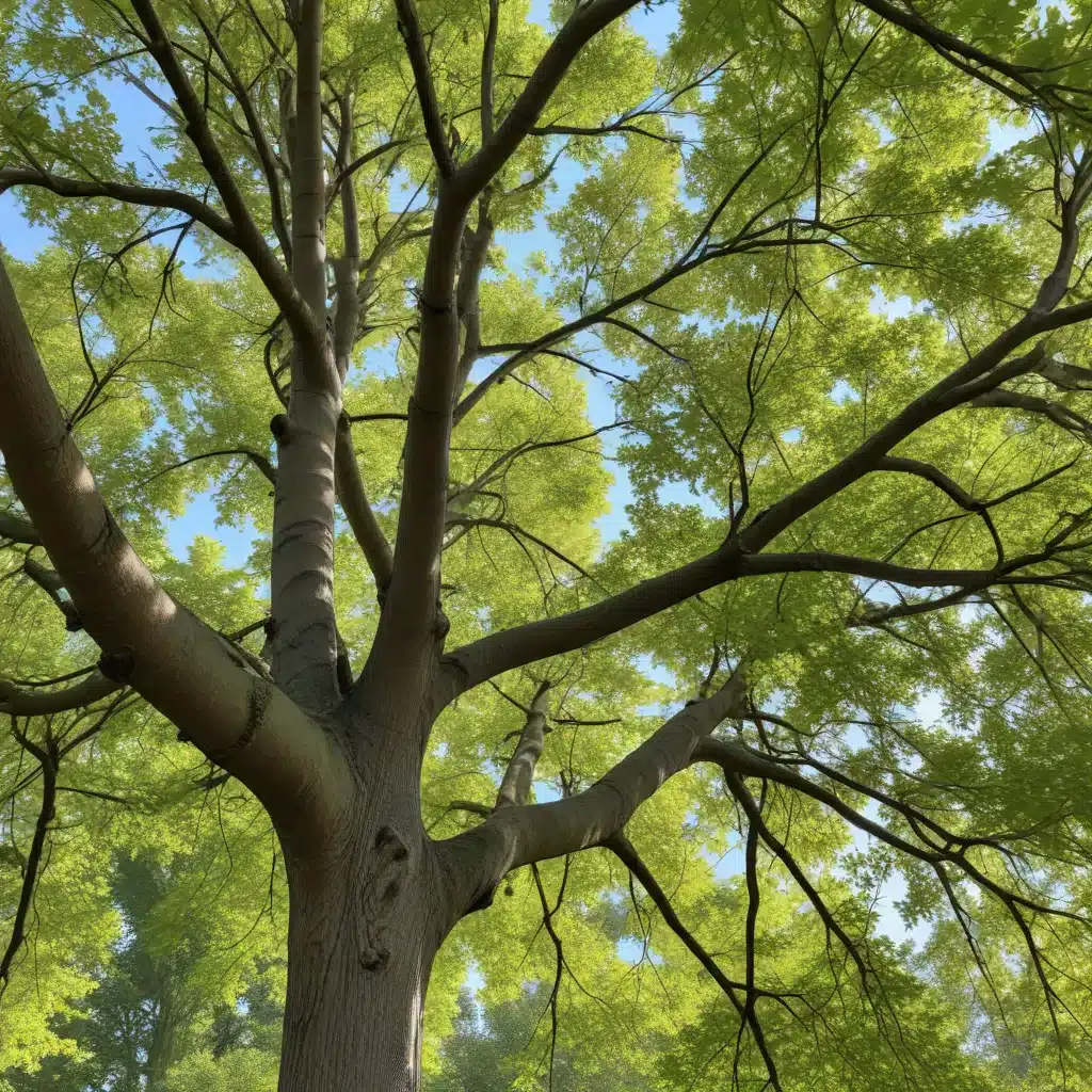 Seasonal Tree Maintenance: Adapting to Nature’s Cycles for Optimal Continued Growth, Vigor, and Resilience