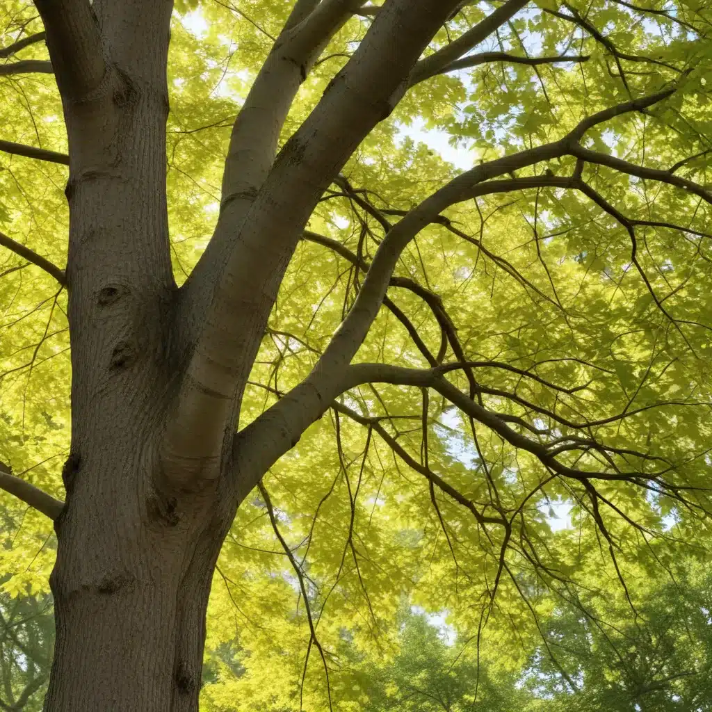 Seasonal Tree Maintenance: Adapting to Nature’s Rhythms for Optimal Growth and Vitality