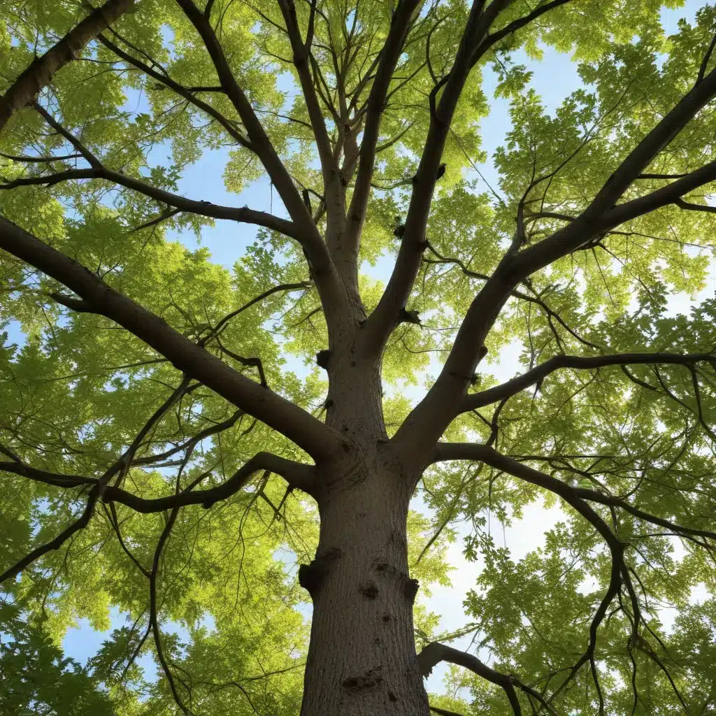 Seasonal Tree Maintenance: Cultivating Resilient and Flourishing Ecosystems