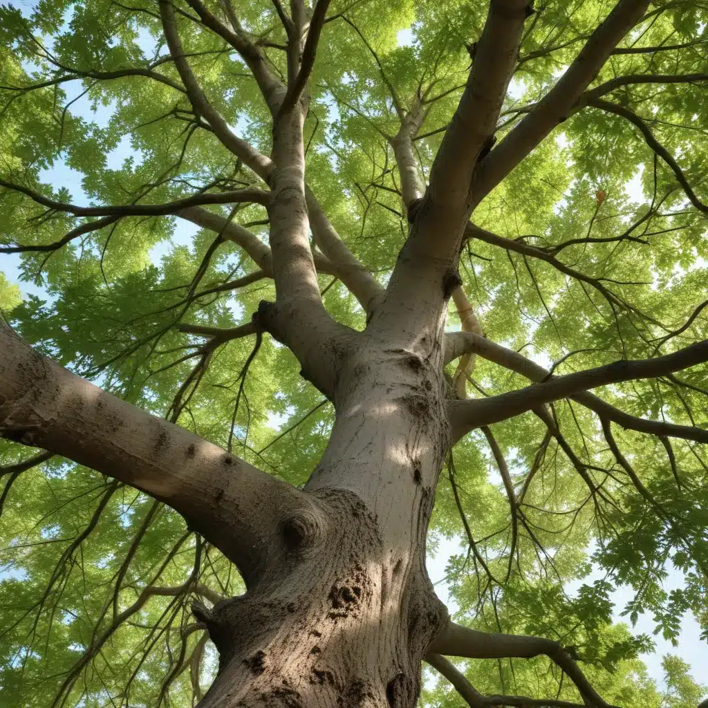 Seasonal Tree Maintenance: Cultivating Resilient and Thriving Ecosystems Through Comprehensive, Tailored Care