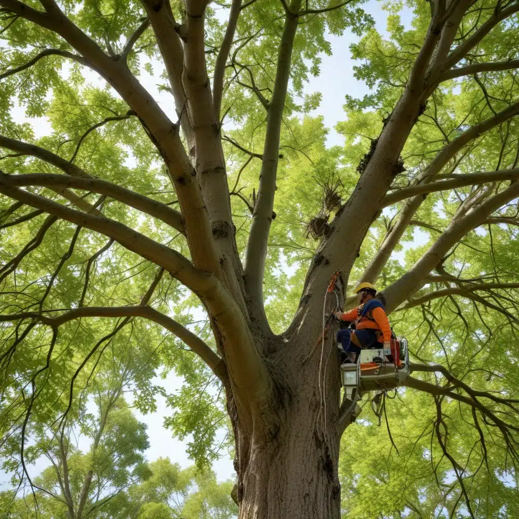 Seasonal Tree Maintenance: Cultivating Resilient and Thriving Landscapes and Ecosystems Through Comprehensive, Tailored Care