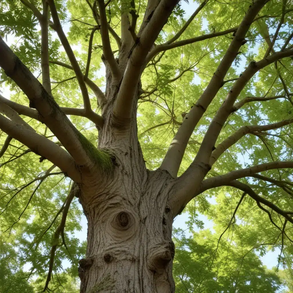 Seasonal Tree Maintenance: Cultivating Resilient and Thriving Landscapes and Ecosystems Through Comprehensive Care
