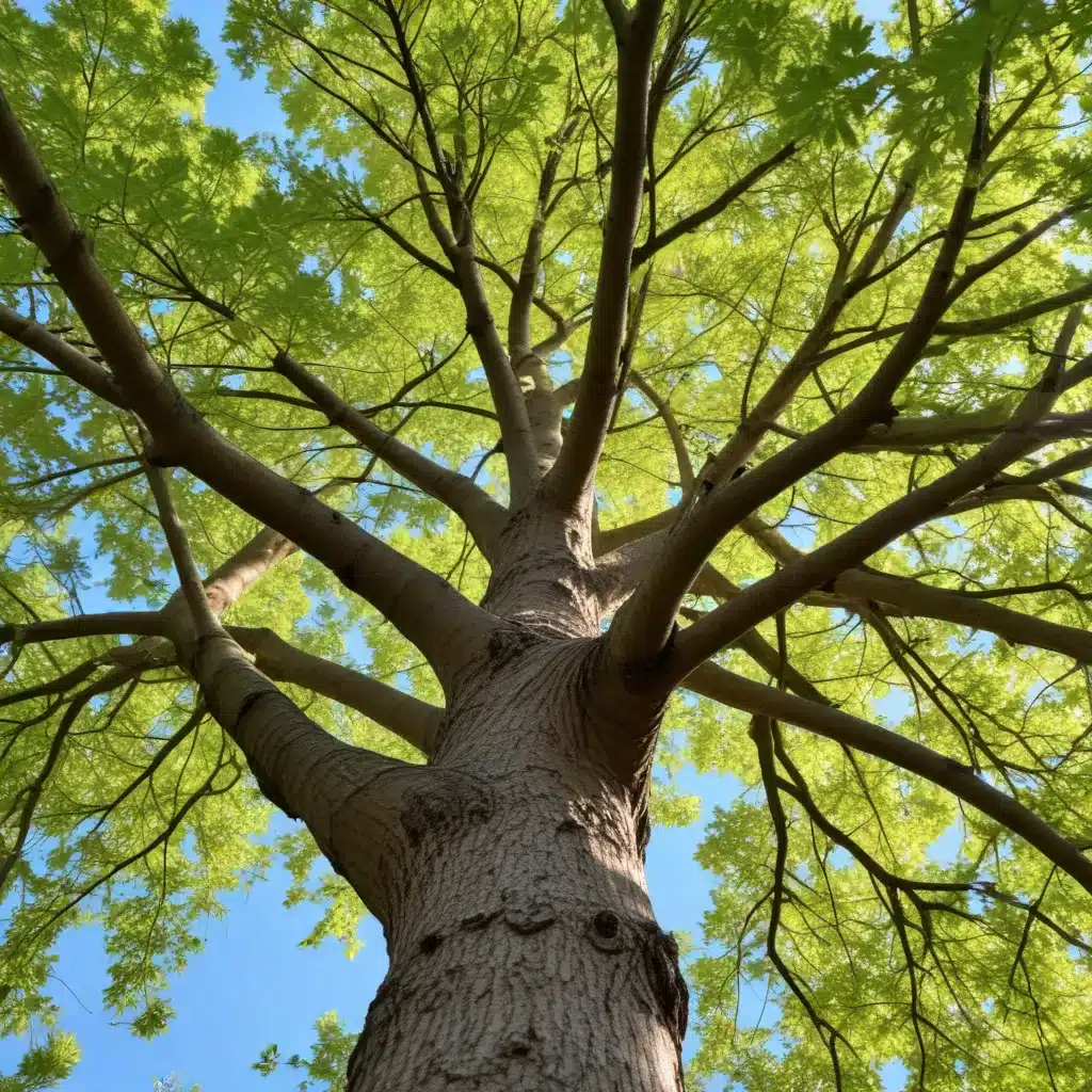 Seasonal Tree Maintenance: Unlocking the Mysteries of Seasonal Tree Behavior, Adaptation, and Continued Growth